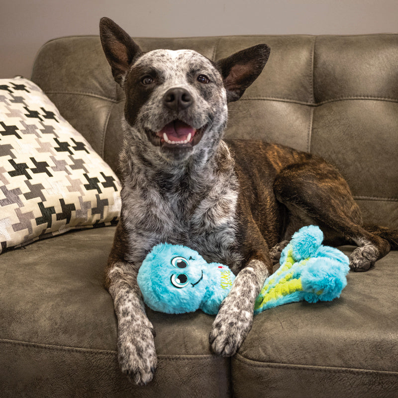 KONG Wubba Octopus - 2 Sizes, 3 Colours Dog Toy