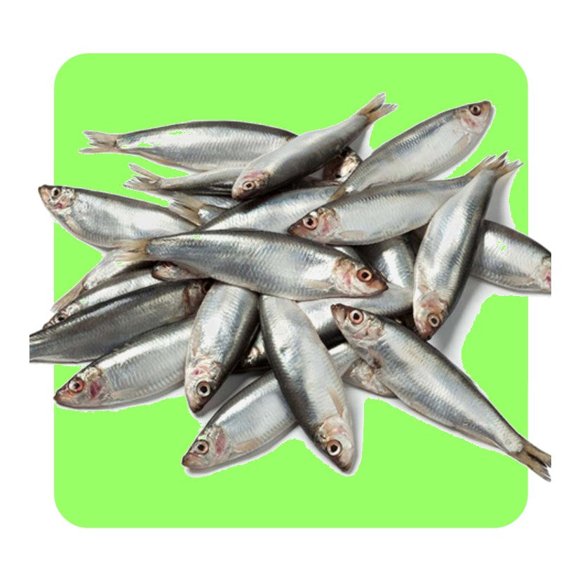 Paddock Farm Baltic Sprats - 1kg