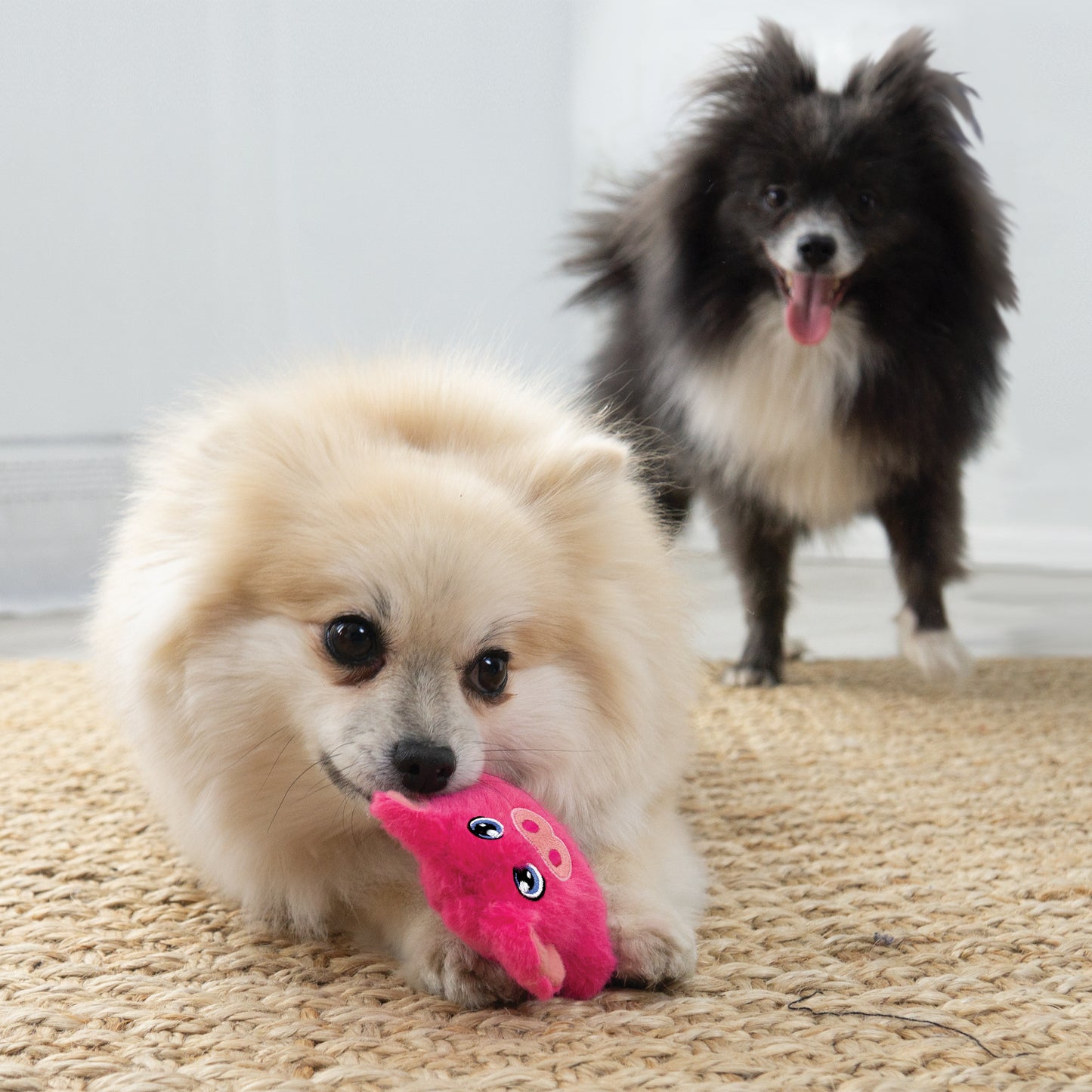 KONG Snuzzles - 6 Characters, 3 Sizes