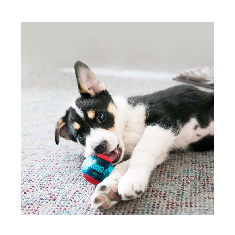KONG Squeezz Action Balls