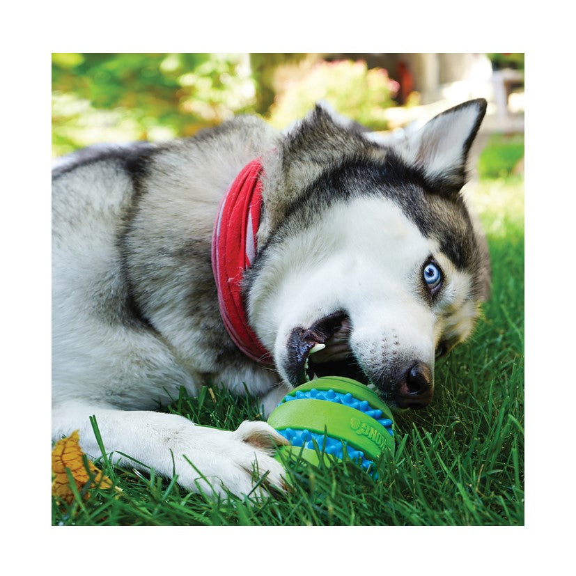 KONG Squeezz Goomz Ball