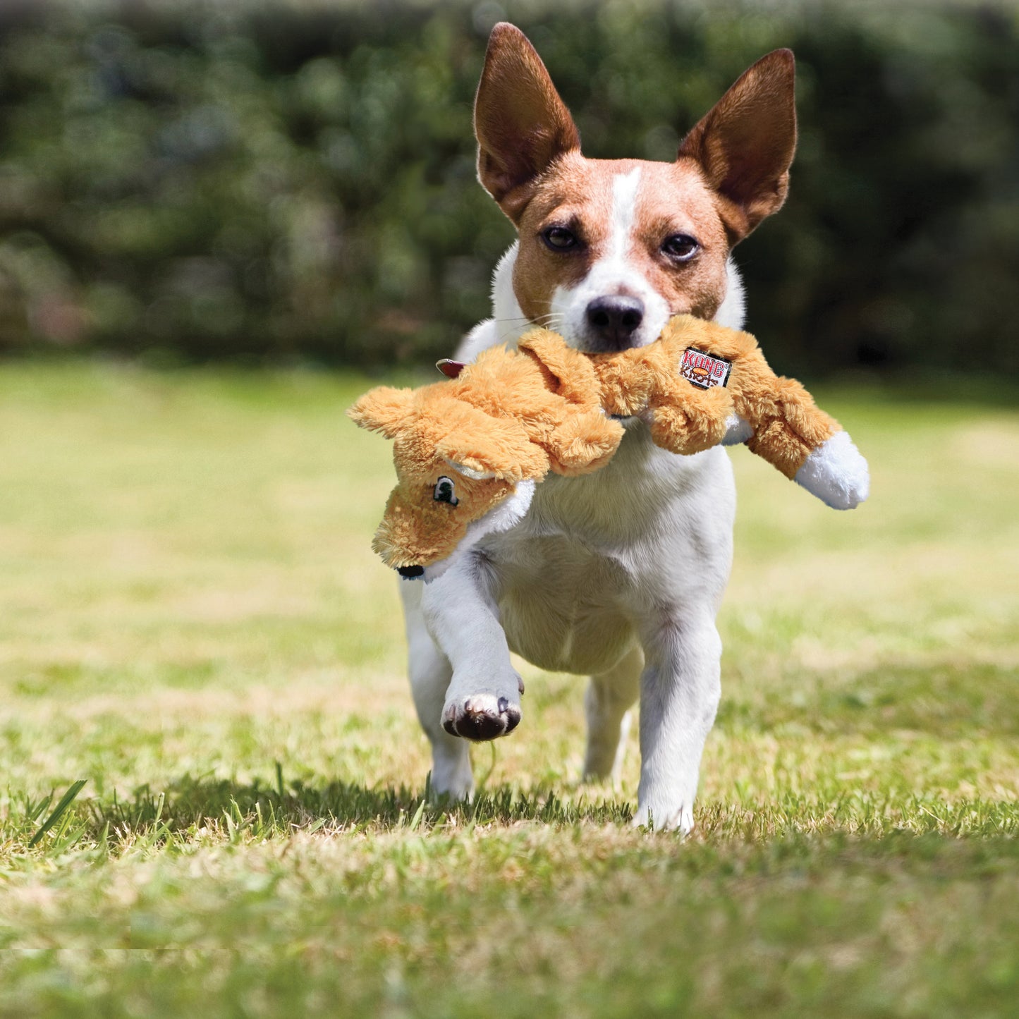 KONG Scrunch Knots Dog Toys