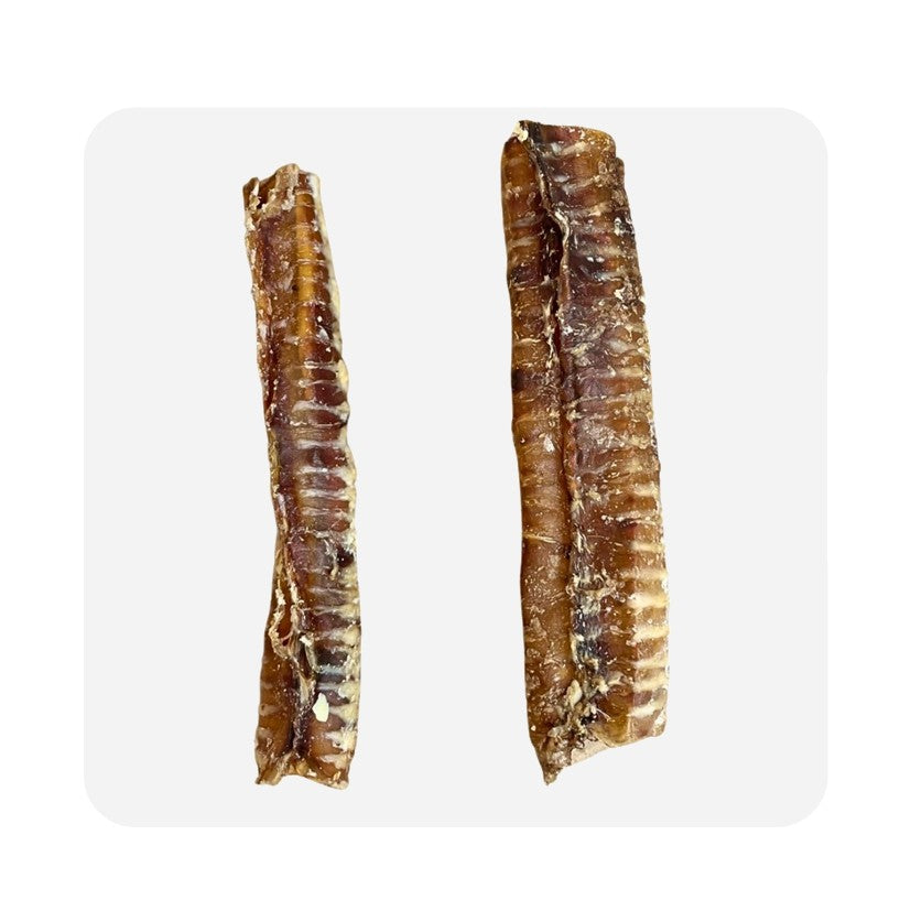Paddock Farm Beef Trachea 24cm - 1kg