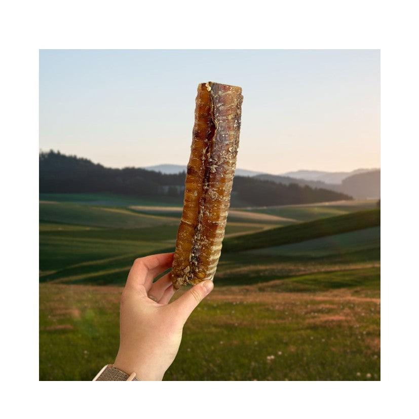 Paddock Farm Beef Trachea 24cm - 1kg