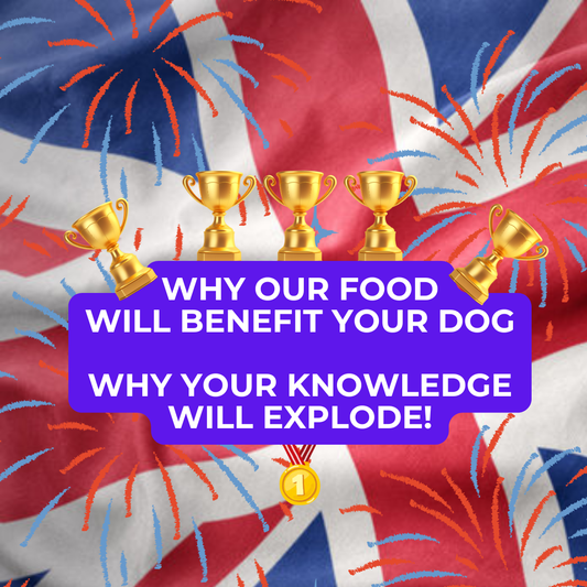 🐾 DOGS DON'T DIGEST INGREDIENTS. THEY DIGEST NUTRIENTS. AND WHEN YOU FINALLY UNDERSTAND THAT, YOUR DOG BENEFITS. 🐾