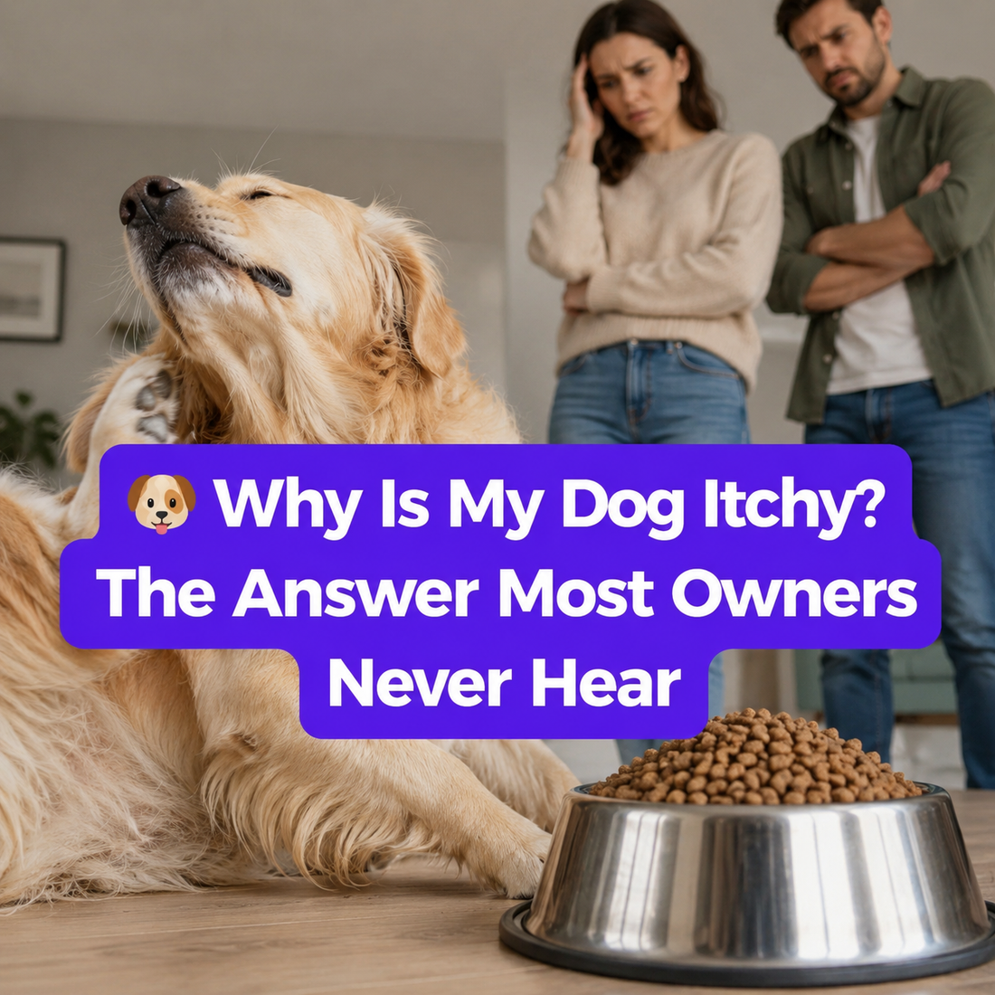 🐶 Why Is My Dog Itchy? The Answer Most Owners Never Hear