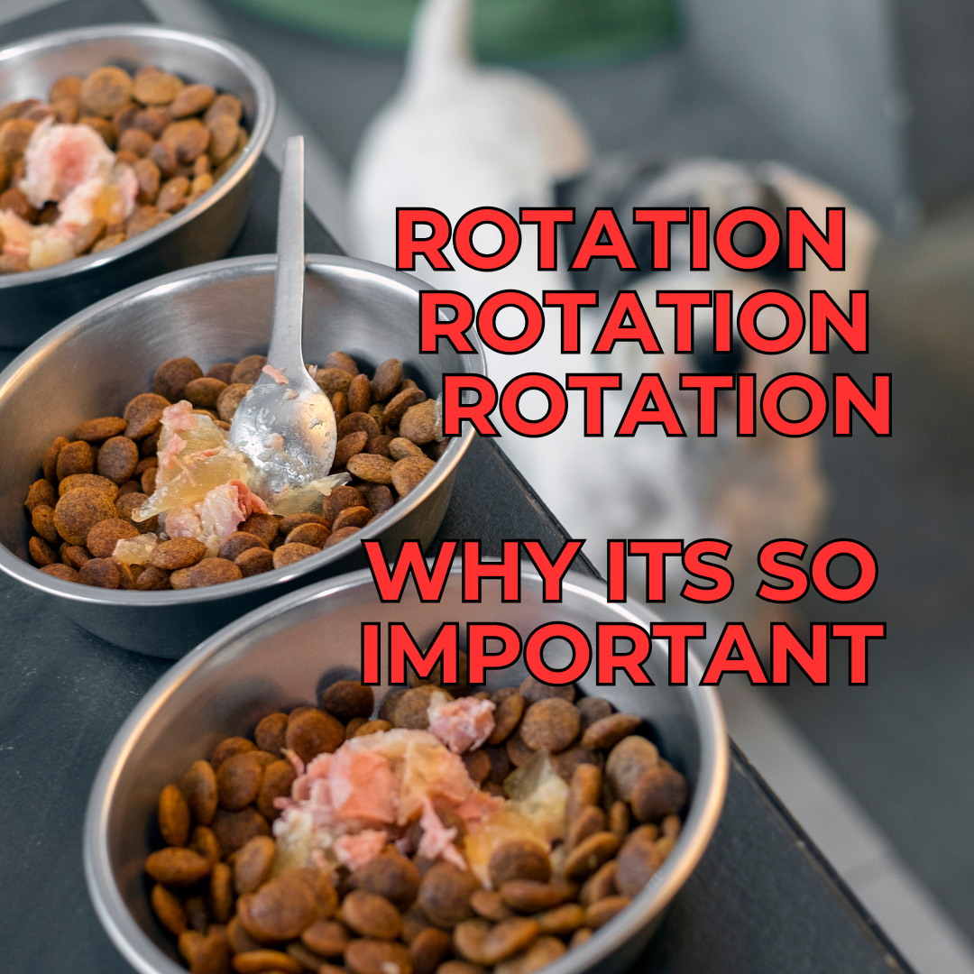 Rotation, Rotation, Rotation!