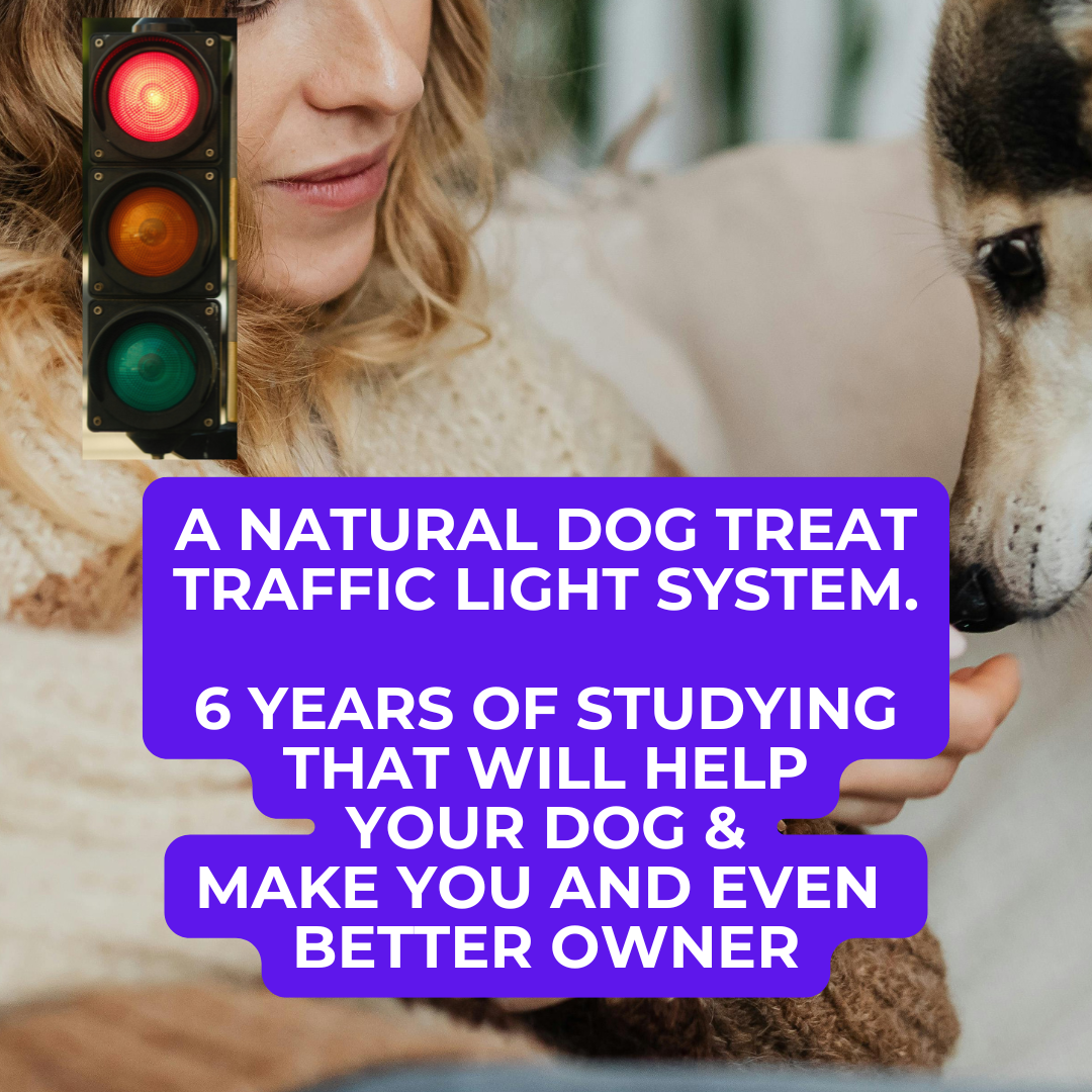 We are going to present to you; the best treats guide you will ever have seen.