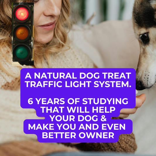 We are going to present to you; the best treats guide you will ever have seen.