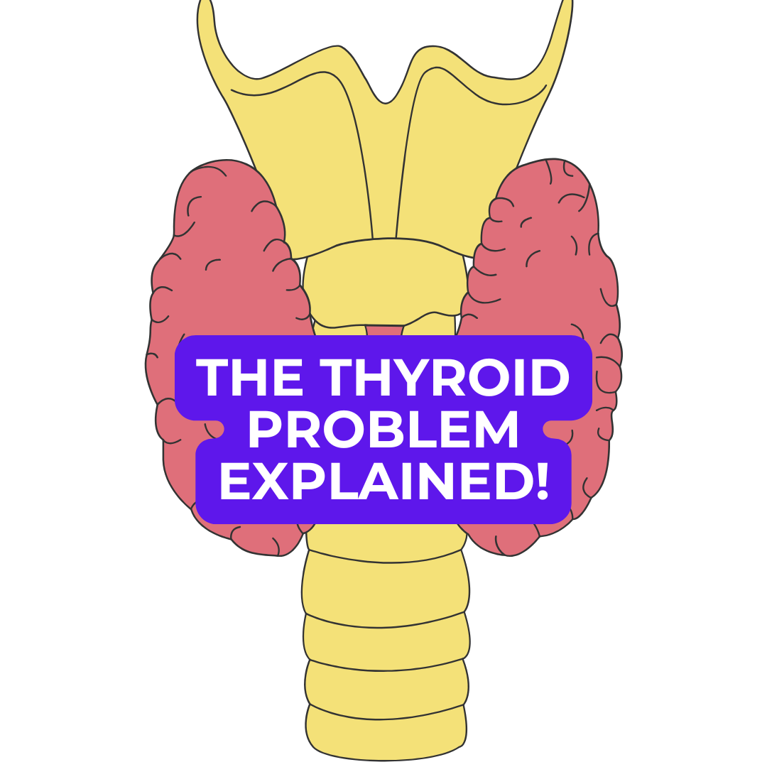 🐾 Dog Food Knowledge: No. 8, Thyroid Health, Toxins and the Truth About Behaviour