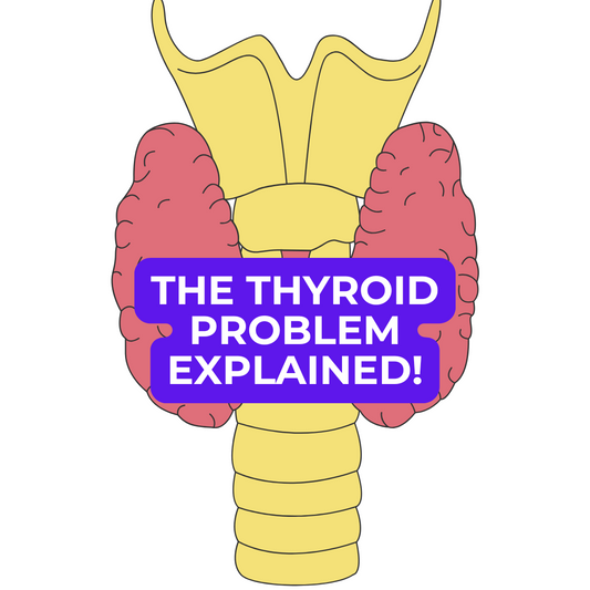 🐾 Dog Food Knowledge: No. 8, Thyroid Health, Toxins and the Truth About Behaviour