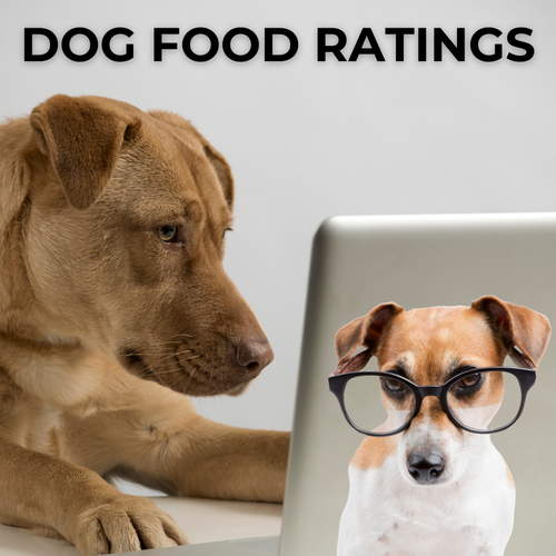 Dog Food Ratings: Helpful or Harmful?