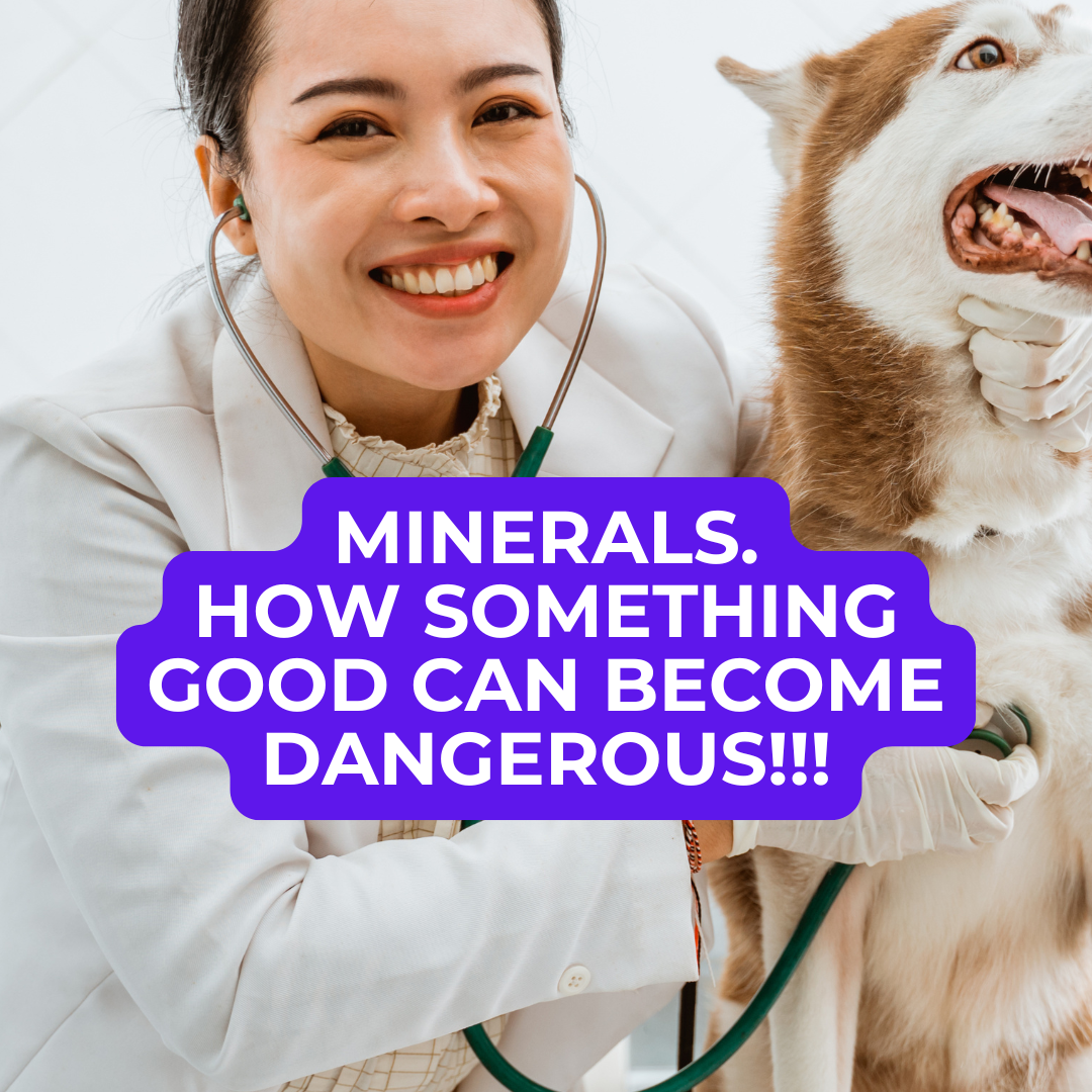 🐾 Dog Food Knowledge: No. 11, Minerals: When Good Turns Dangerous