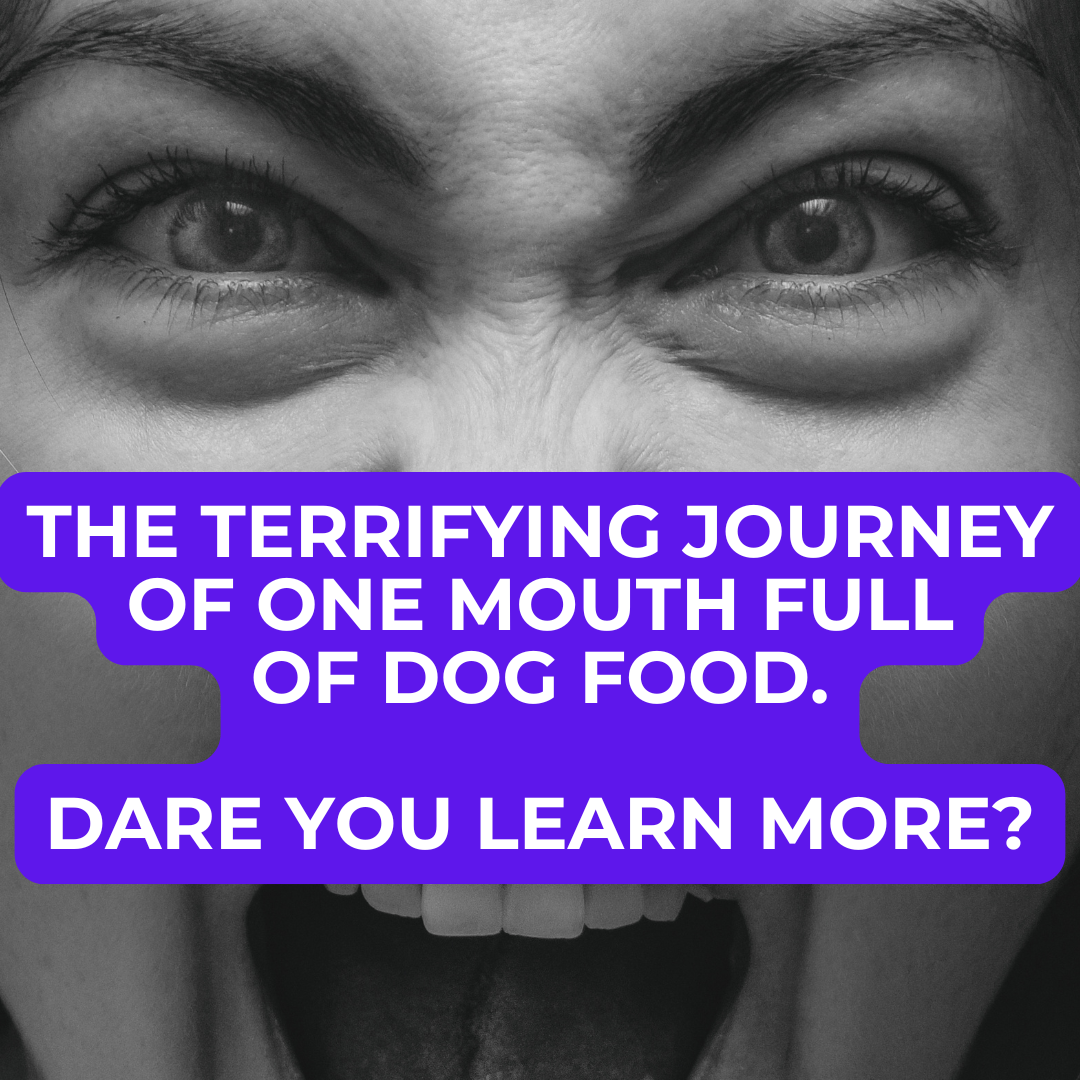 The Journey Of Just A Mouthful - It's The Ride Of Your Life
