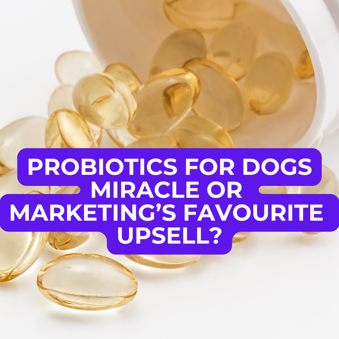 🐾 Probiotics for Dogs — Miracle or Marketing’s Favourite Upsell?
