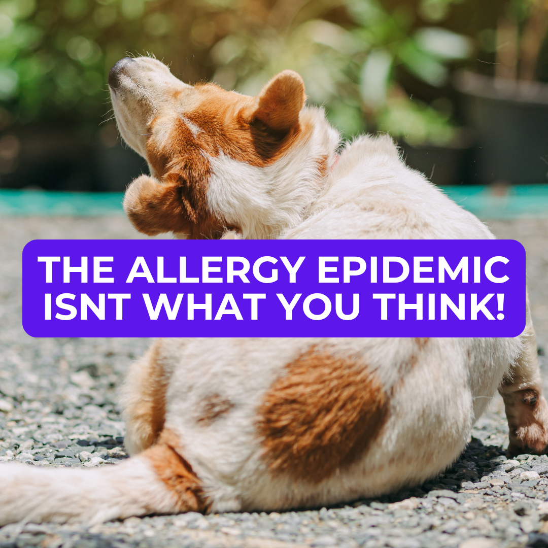 🐾 The Allergy Epidemic – Why It’s NOT What You Think!