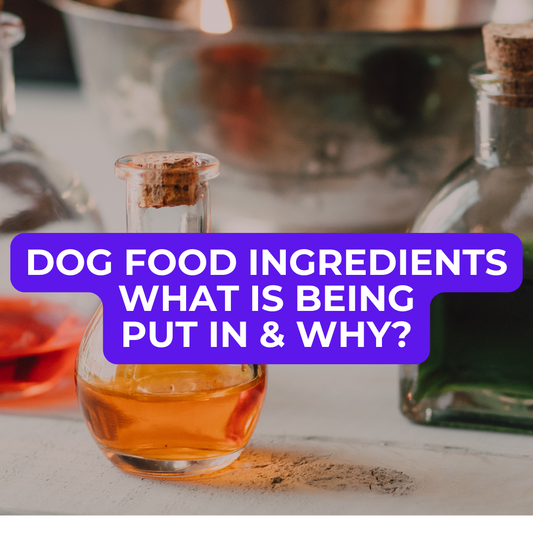 🥩 Dog Food Knowledge: No. 3, Dog Food Ingredients
