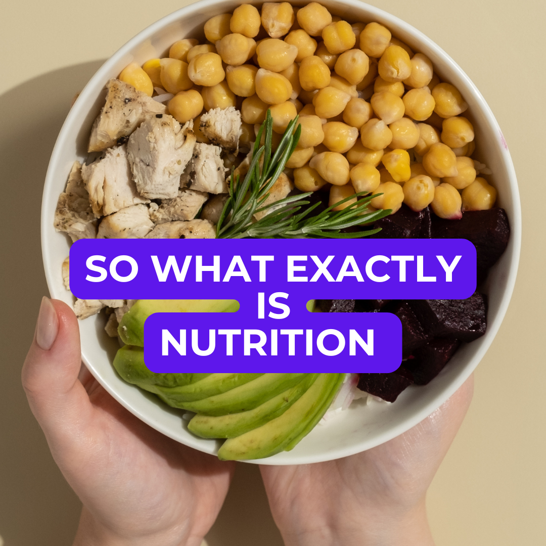 Dog Food Knowledge: No. 1