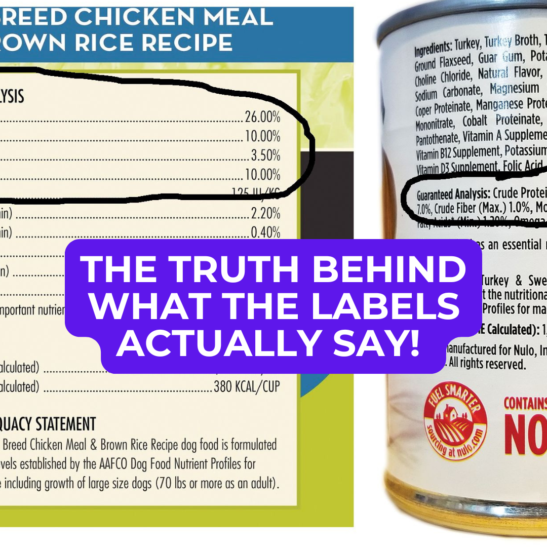 Dog Food Knowledge: No. 2