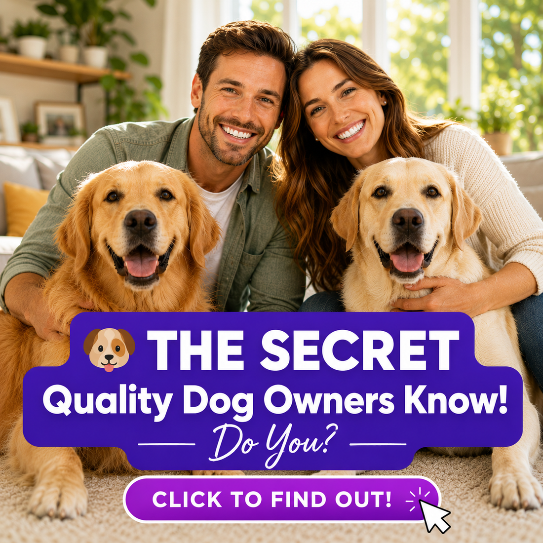 🐶 The SECRET Quality Dog Owners Know. Do You?