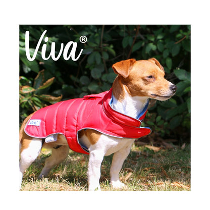 Ancol Viva Reversible Red/Blue Dog Coat