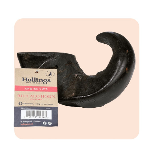 Hollings Buffalo Horn