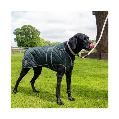 Ancol Heritage Green Quilted Dog Coat