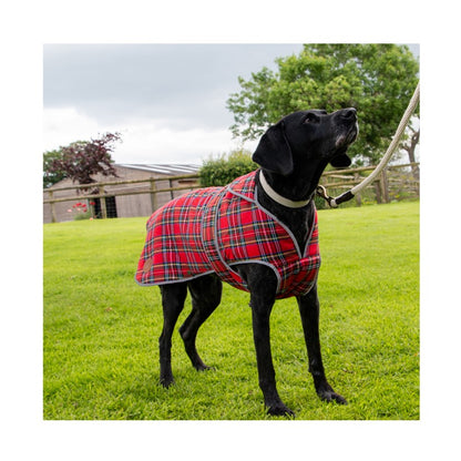 Ancol Heritage Red Tartan Dog Coat