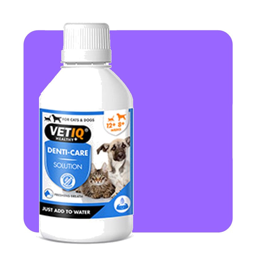 VETIQ Denti-Care Liquid - 250ml