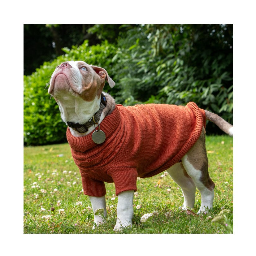 Ancol Knitted Terracotta Jumper