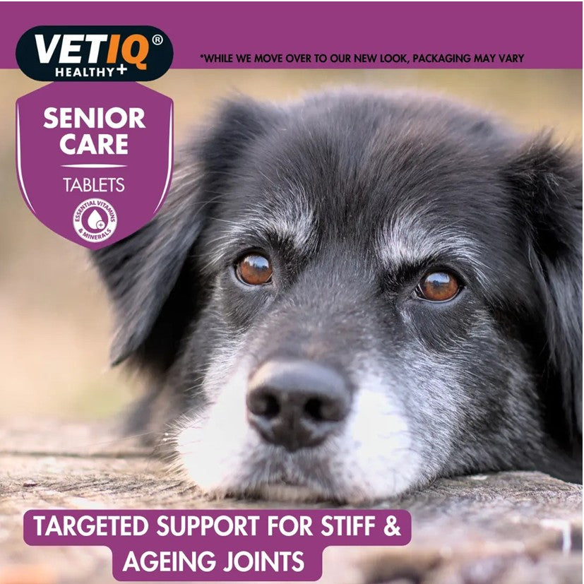 VETIQ Senior Care - 45 Pack