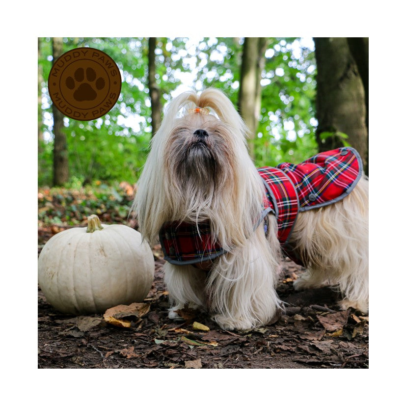 Ancol Highland Tartan Dog Coat