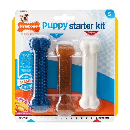 Nylabone Puppy Starter Kit