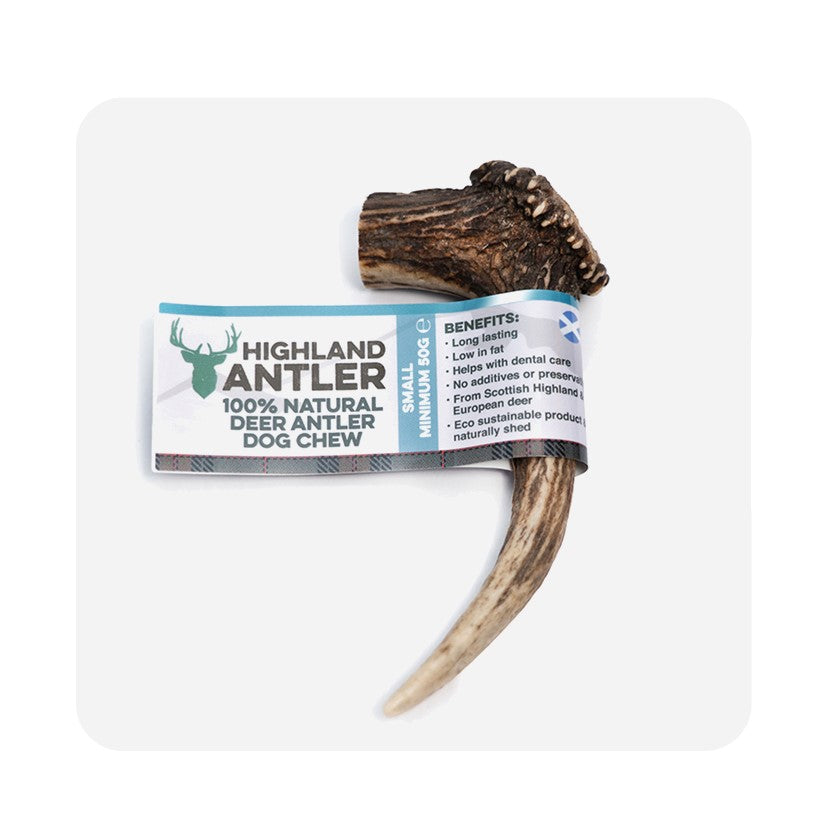 Highland Antler