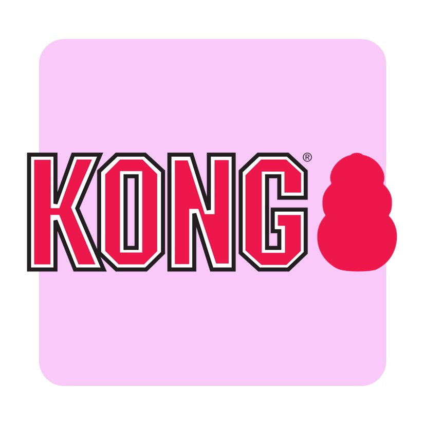 KONG Comfort Kiddos Pig