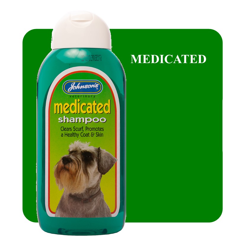 Johnsons Medicated Shampoo 400ml