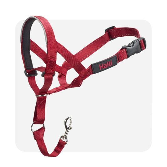 Halti Headcollar Red