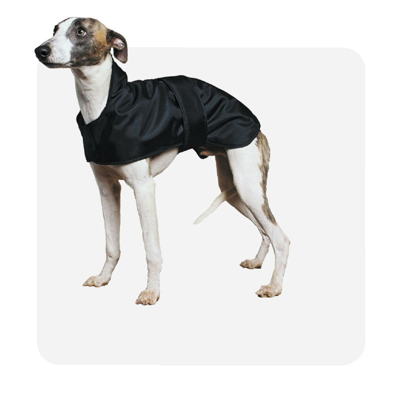 Ancol Whippet Black Coat