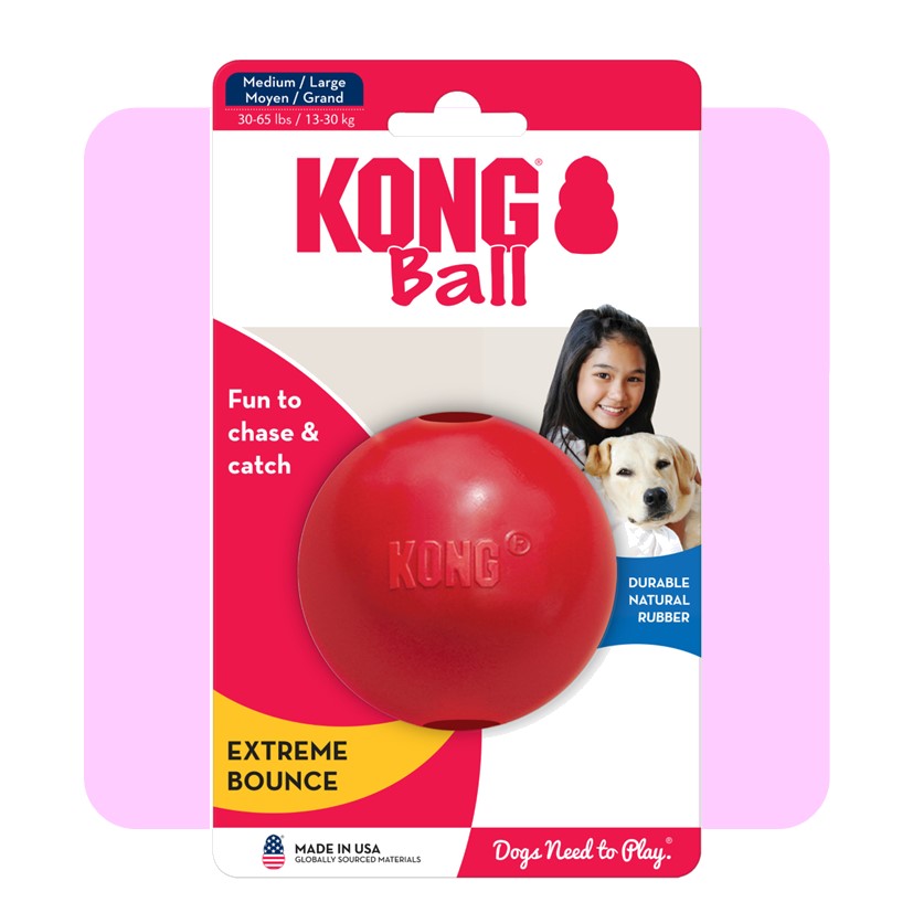 KONG Ball With Hole