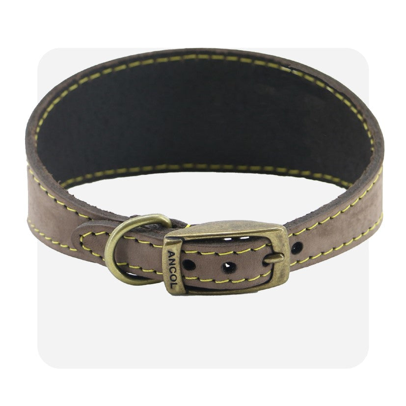 Ancol Timberwolf Whippet Collar