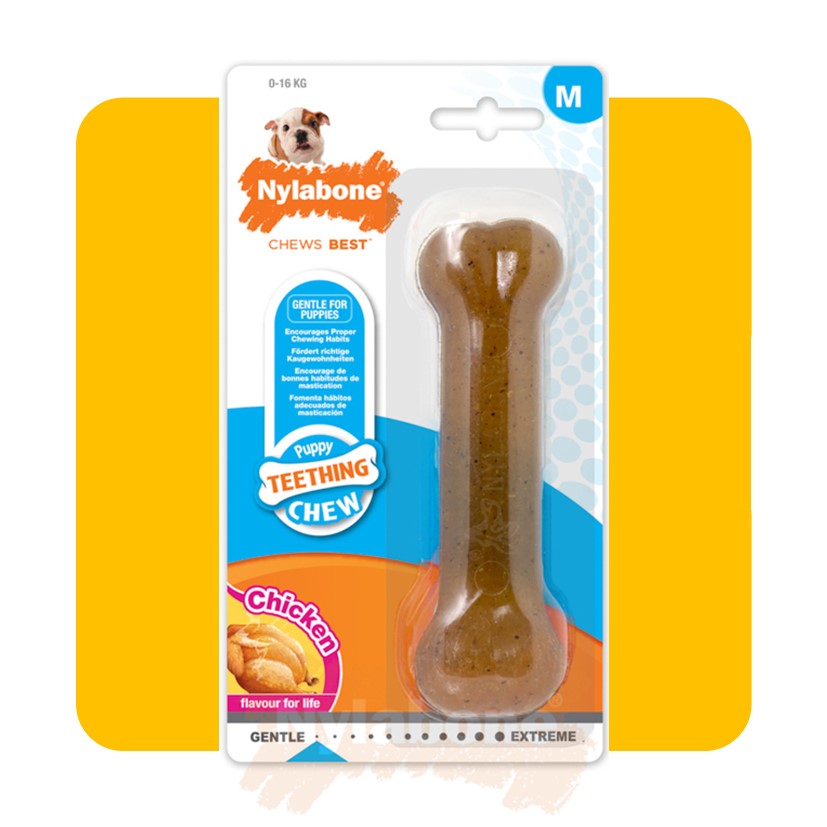 Nylabone Chicken Puppy Bone