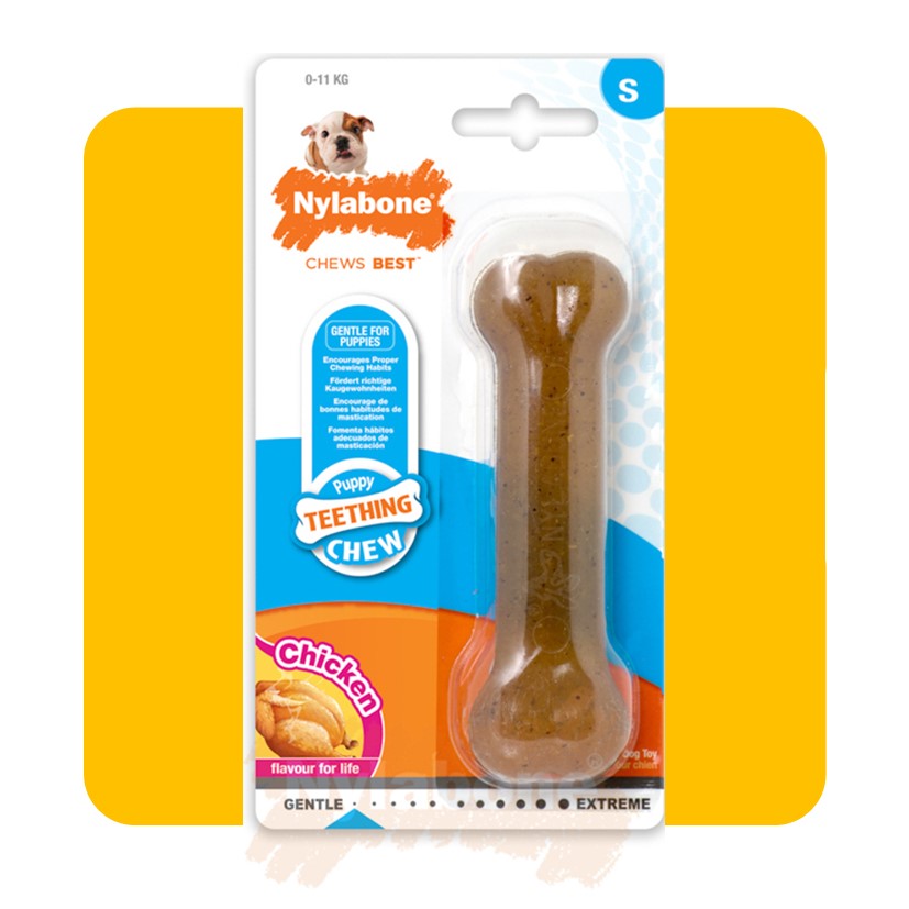 Nylabone Chicken Puppy Bone