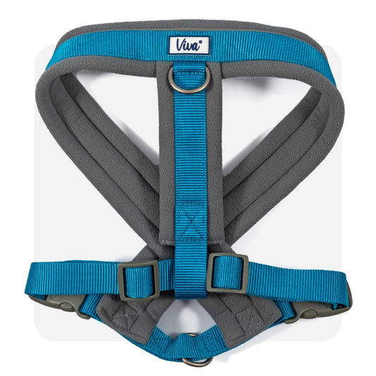 Ancol Viva Padded Harness Blue