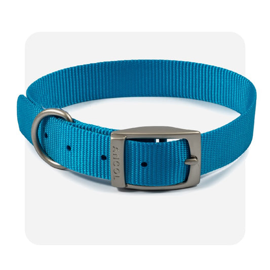 Ancol Viva Collar Blue