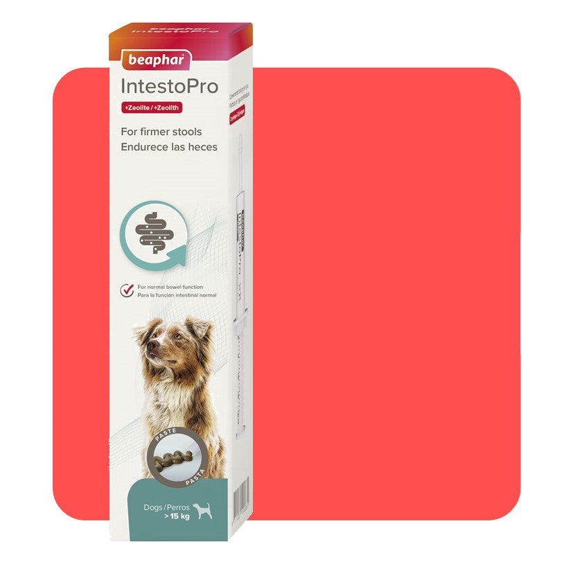 Beaphar IntestoPro Paste for Dogs - 2 x 20ml