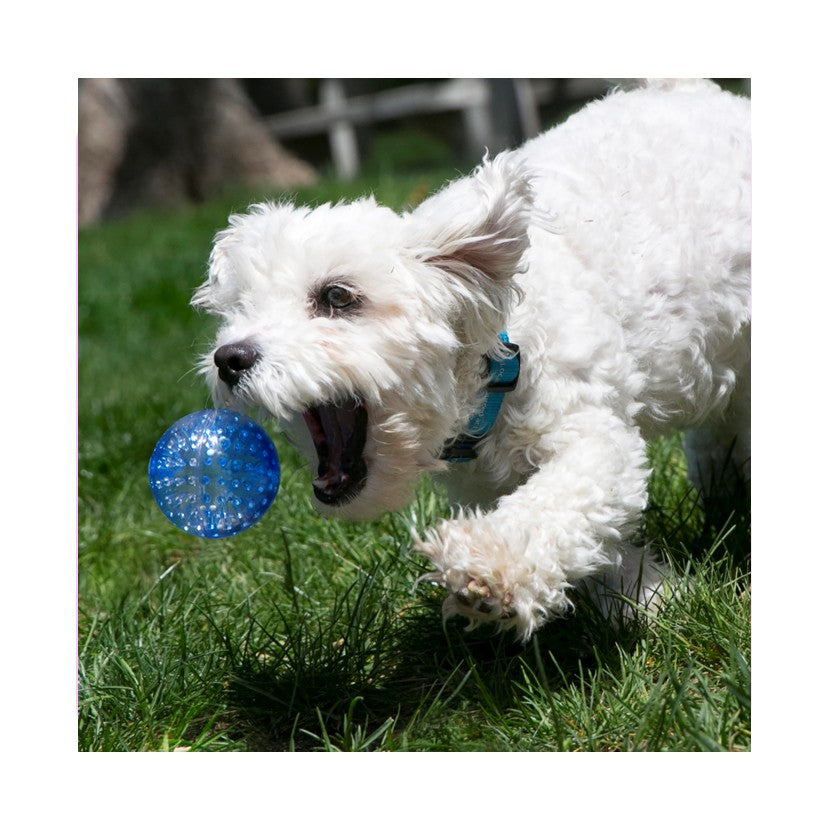 KONG Squeezz Geodz - 2 Pack