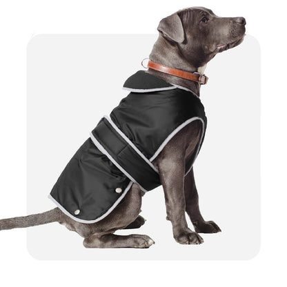 Ancol Stormguard Black Dog Coat