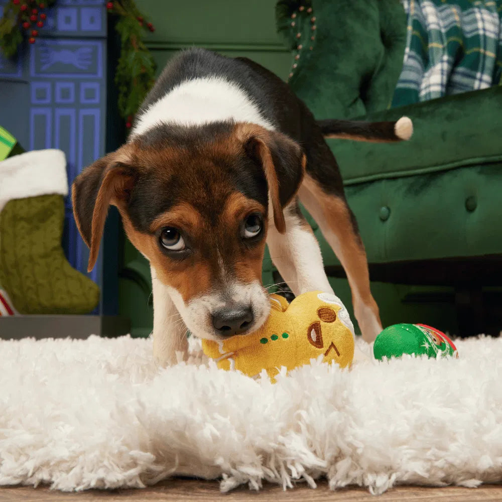 BARK Christmas Dog Toys Limited Stock