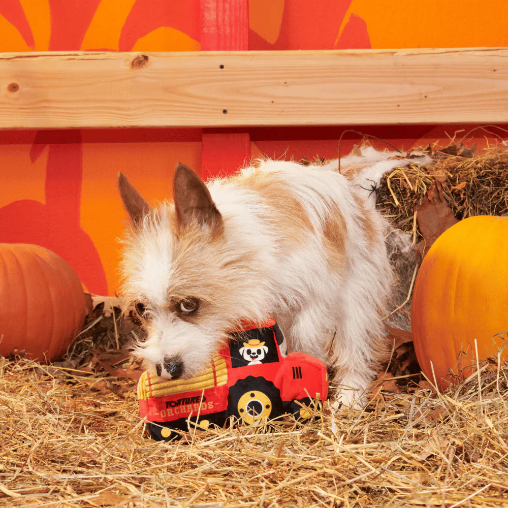 BARK Jack Crow Lantern & Oldest McDonald Dog Toys