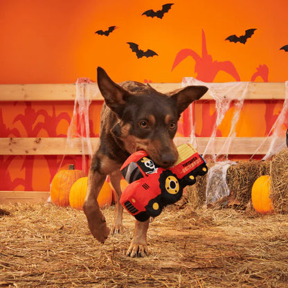 BARK Jack Crow Lantern & Oldest McDonald Dog Toys